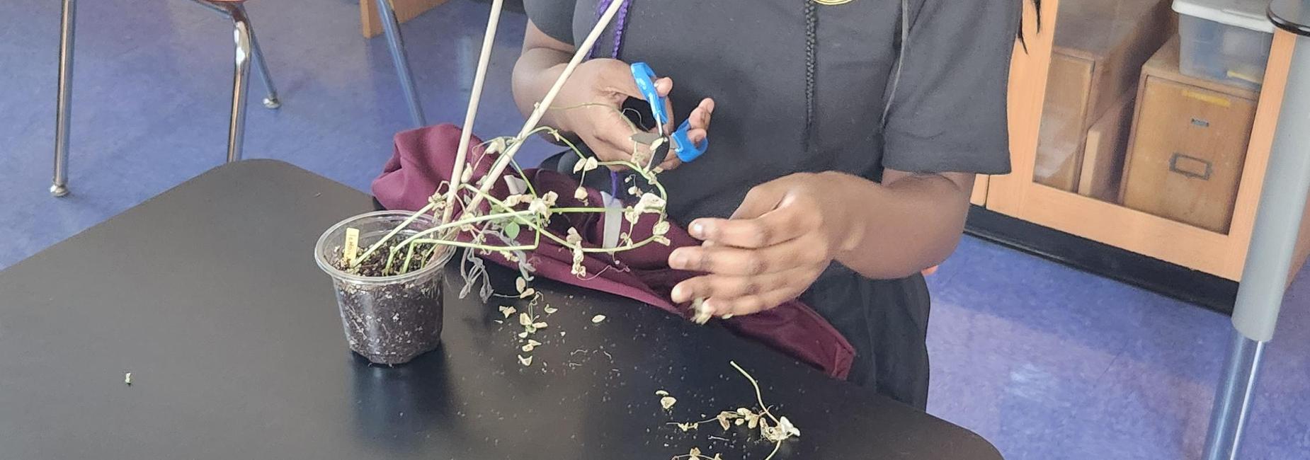 Ohjc4Yrp86UC7D2ZnXsqME6YH4mKExJXNJALUd2OJvVMgfe04402994463364780241